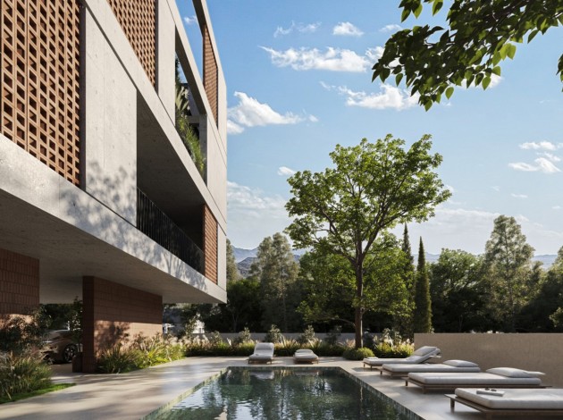 Pafia City 3 Paphos Town